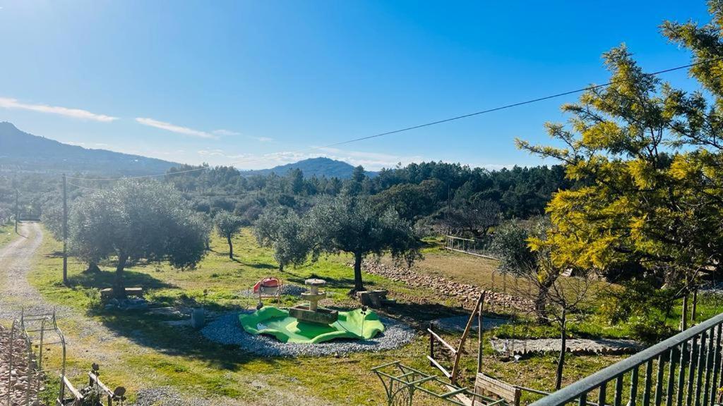 Zion Jardim Monsanto Bed & Breakfast Dış mekan fotoğraf