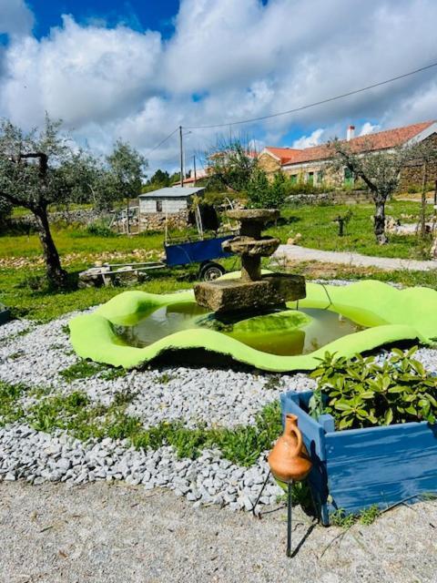 Zion Jardim Monsanto Bed & Breakfast Dış mekan fotoğraf