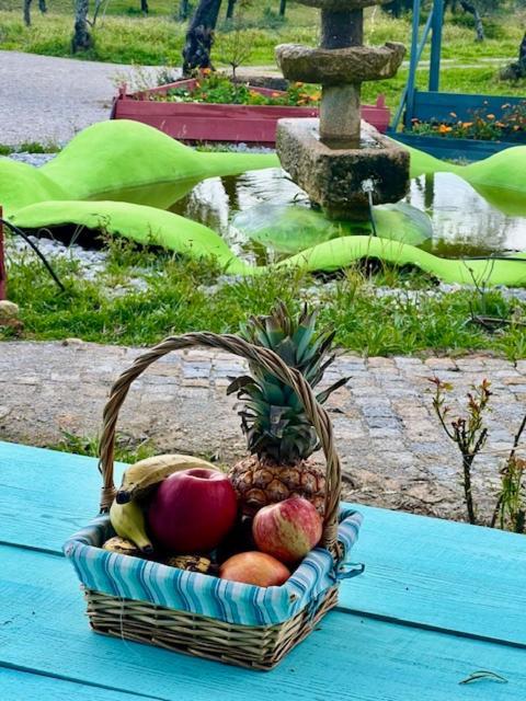Zion Jardim Monsanto Bed & Breakfast Dış mekan fotoğraf