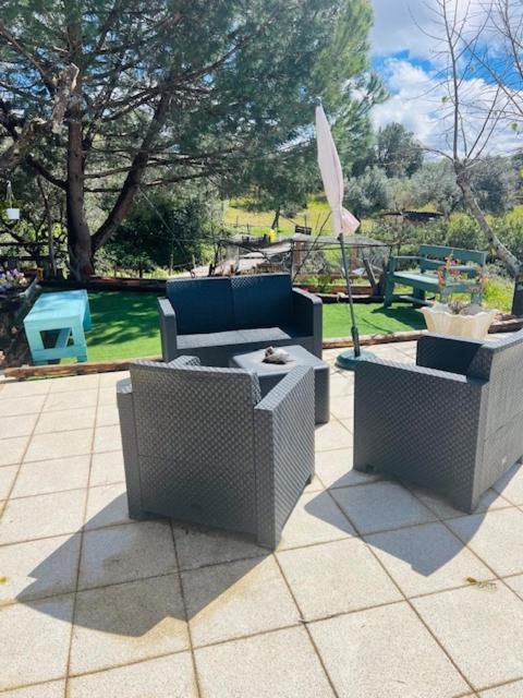 Zion Jardim Monsanto Bed & Breakfast Dış mekan fotoğraf