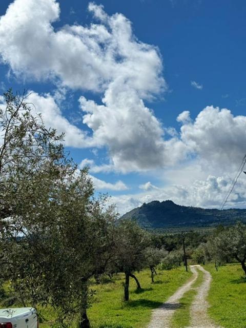 Zion Jardim Monsanto Bed & Breakfast Dış mekan fotoğraf