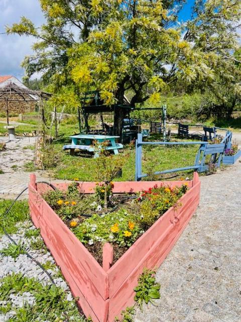 Zion Jardim Monsanto Bed & Breakfast Dış mekan fotoğraf