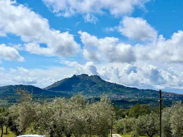 Zion Jardim Monsanto Bed & Breakfast Dış mekan fotoğraf