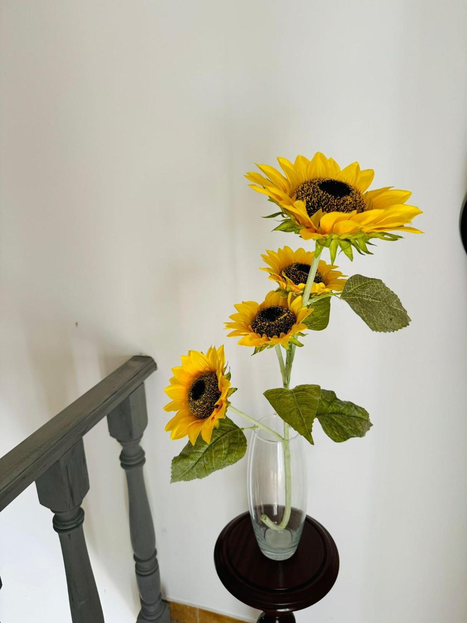 Zion Jardim Monsanto Bed & Breakfast Dış mekan fotoğraf