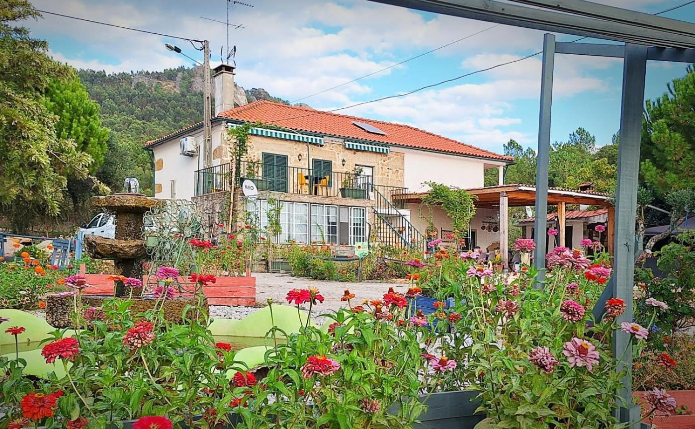 Zion Jardim Monsanto Bed & Breakfast Dış mekan fotoğraf