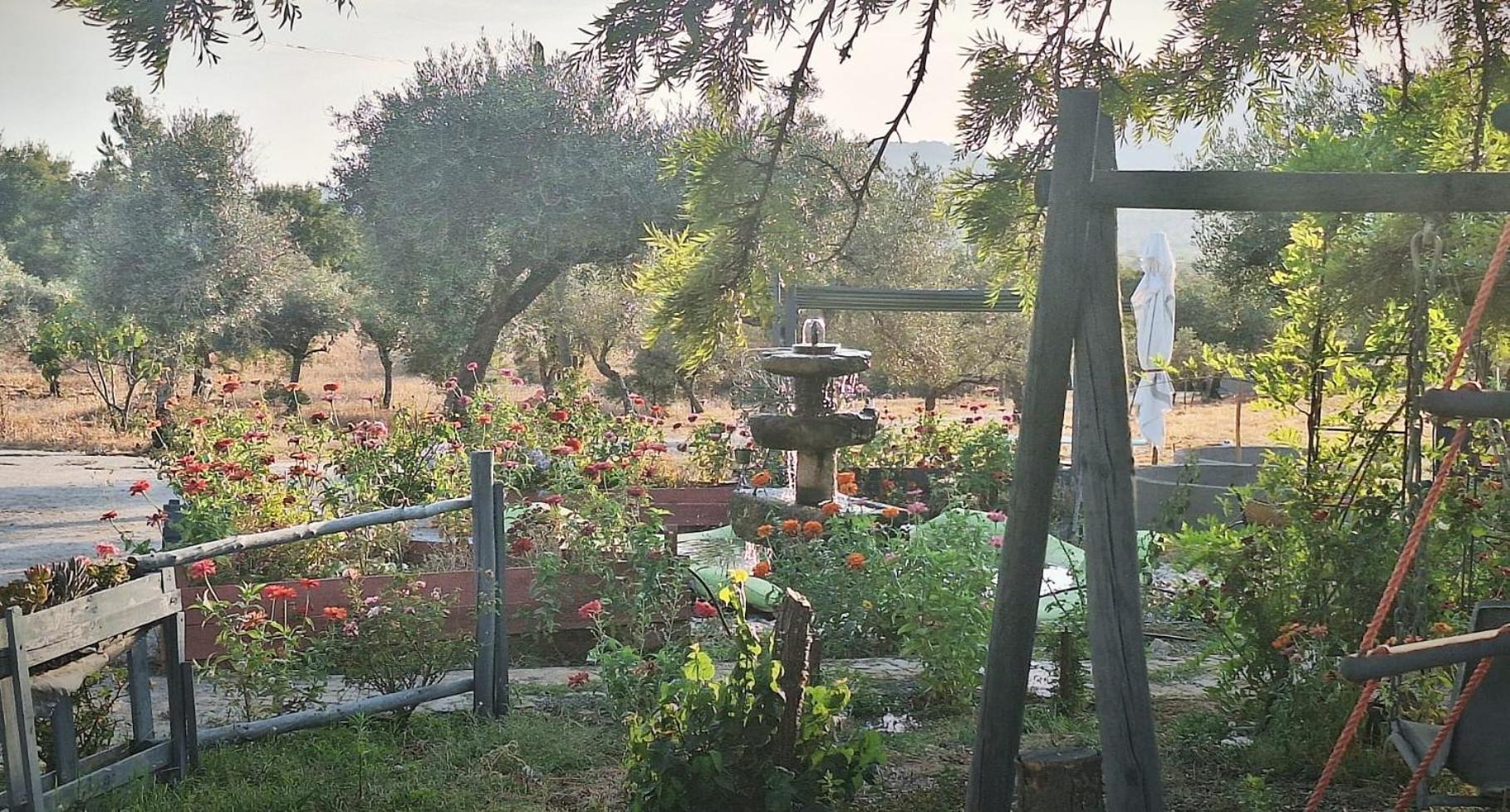 Zion Jardim Monsanto Bed & Breakfast Dış mekan fotoğraf